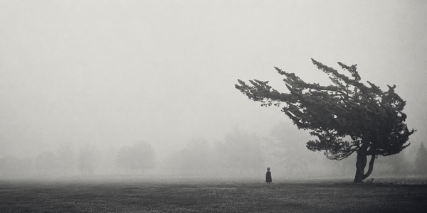 The Tree