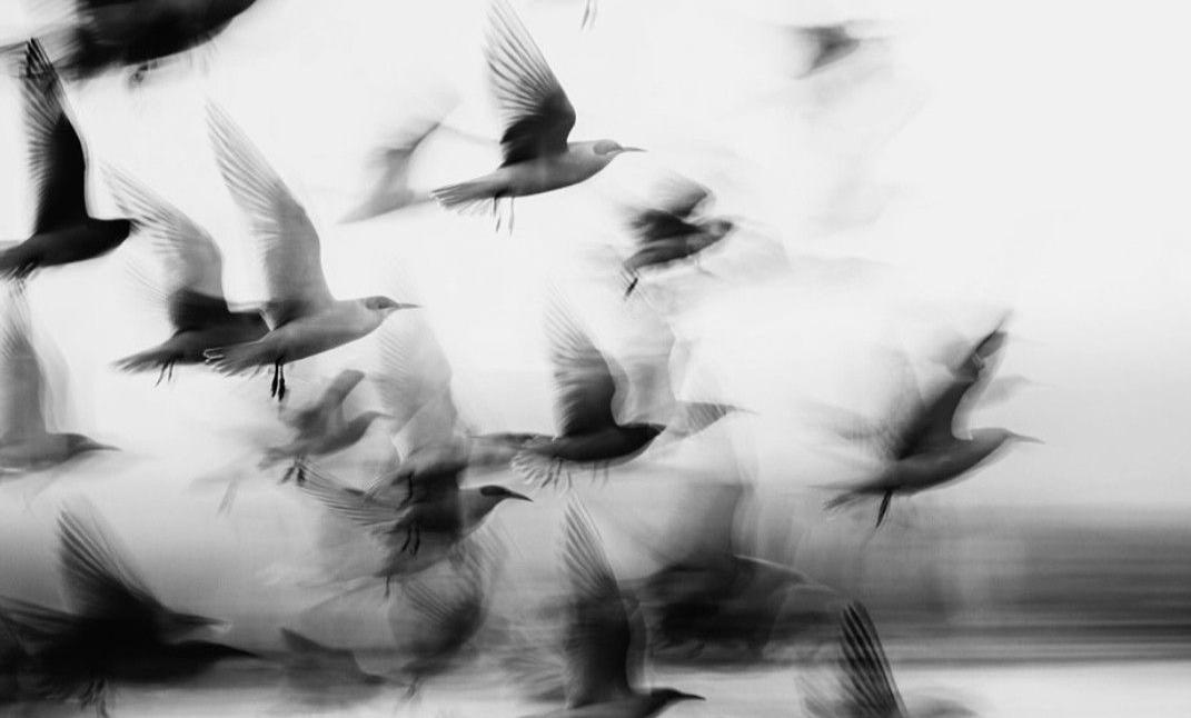 Scalability with Soul: Growth that Doesn’t Spend People