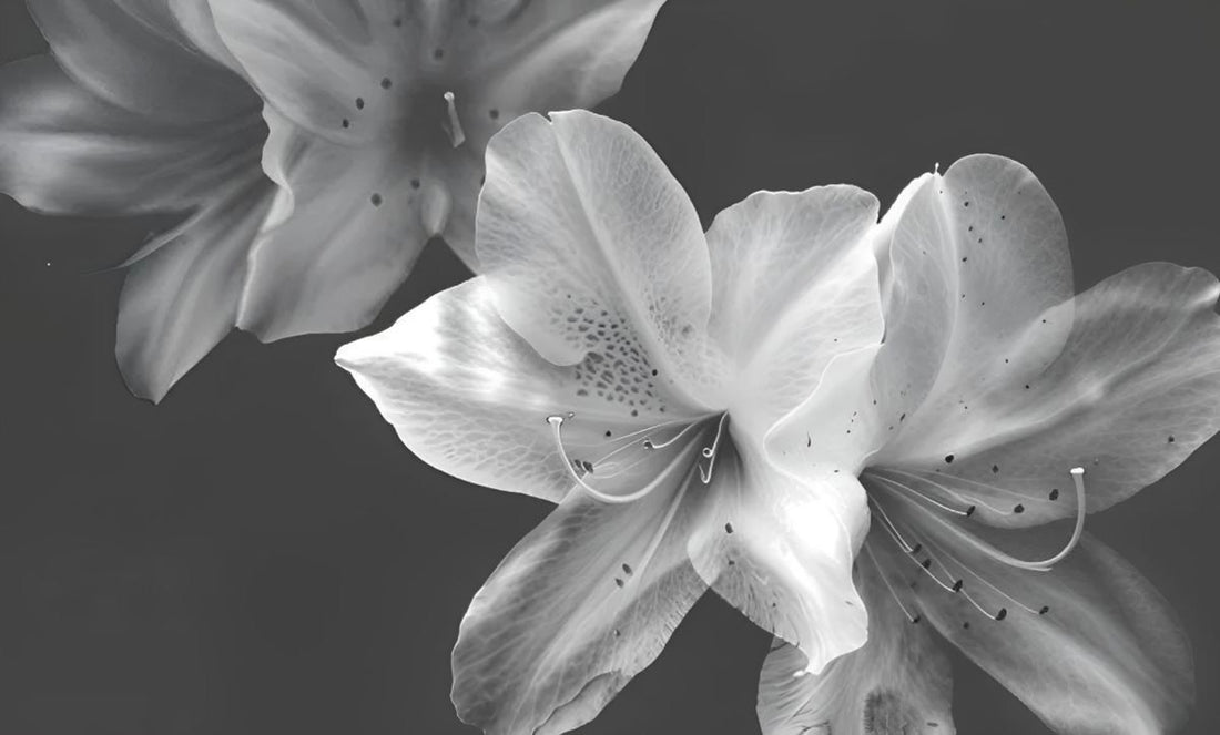 Limerence